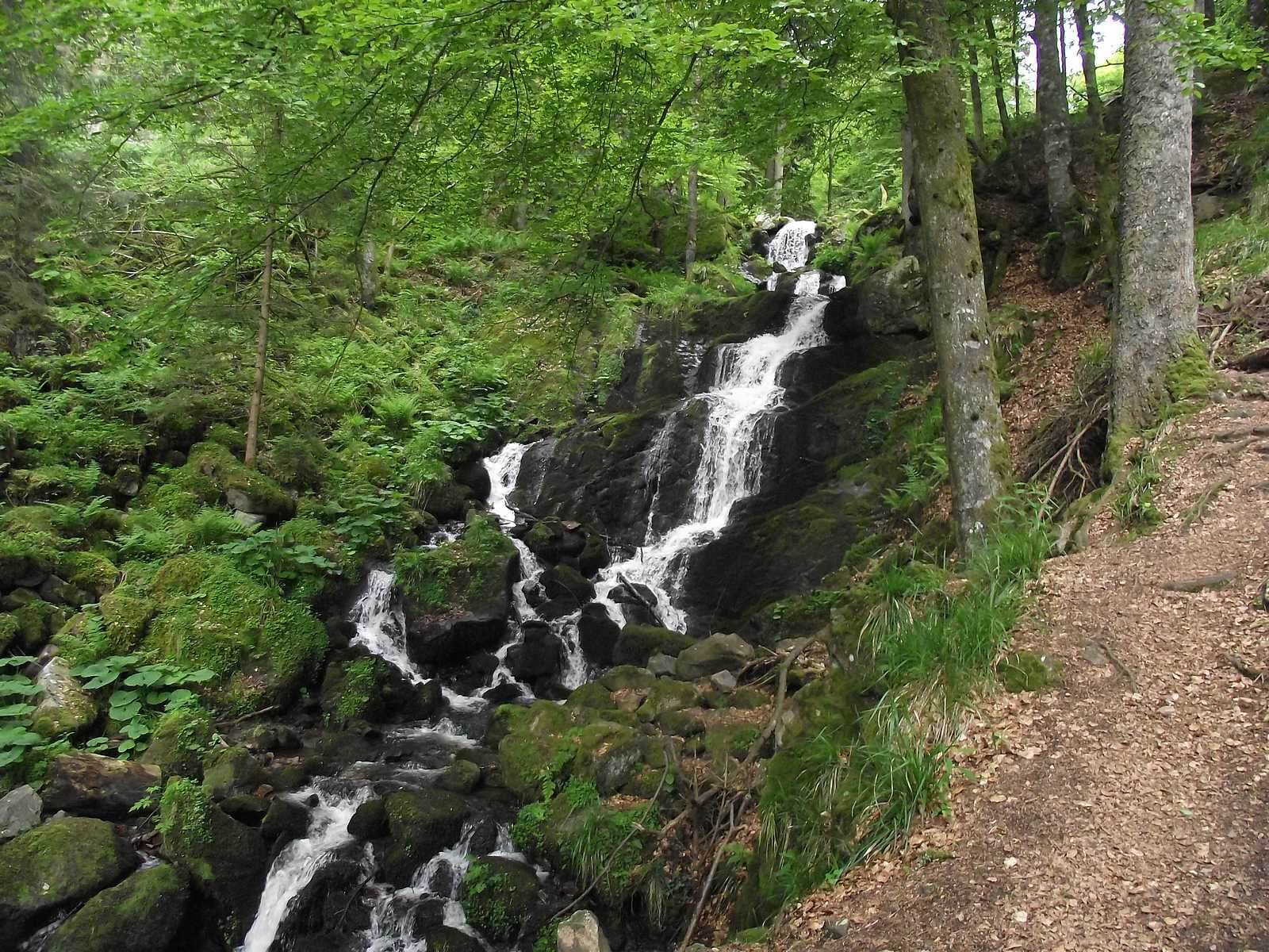 Les Vosges