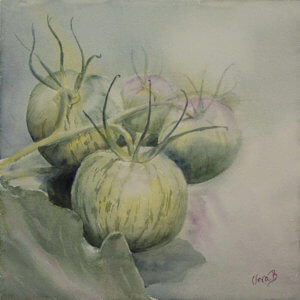 Green zebra tomatoes, watercolour by Vera Billing