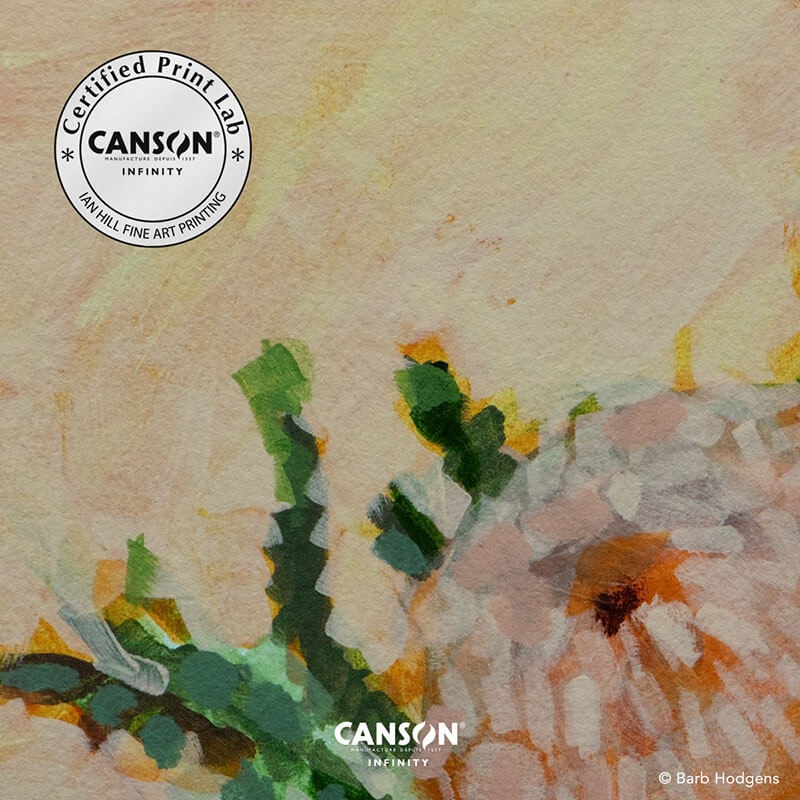 Canson Infinity - Art Papers Canvas Digital Fine Art & Photo