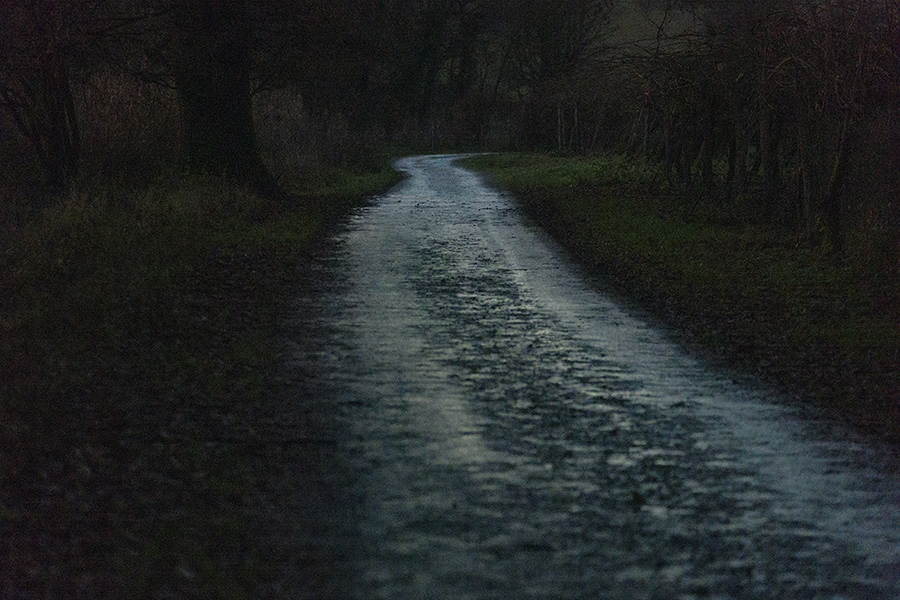 Dominique Laug&eacute; photo