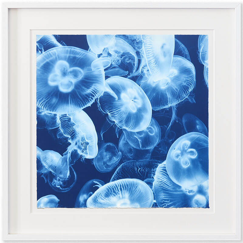 Gilles Lorin photographe cyanotype sur papier Arches