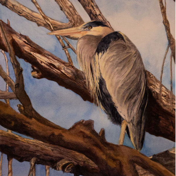 Nina Marie Altman - ARCHES Aquarelle