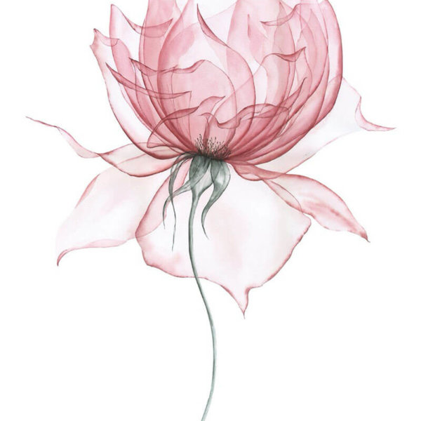 Olga Koelsch Watercolour, ARCHES Aquarelle hot pressed