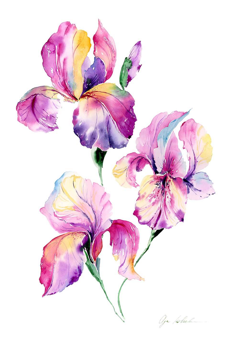 Olga Koelsch Watercolor, ARCHES Aquarelle hot pressed