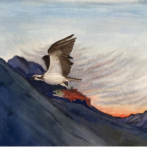 Meg Warhurst Watercolour, ARCHES Aquarelle cold pressed