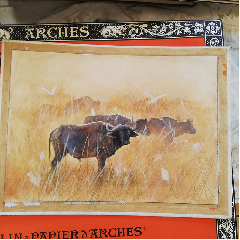 Sara Glendinning Watercolour, ARCHES Aquarelle rough