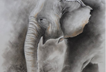 Dana Luliana Sauca Pastels, charcoal, white coal, graphite, Ingres d’ARCHES MBM 105 gsm