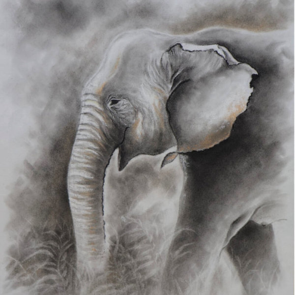 Dana Luliana Sauca Pastels, charcoal, white coal, graphite, Ingres d’ARCHES MBM 105 gsm