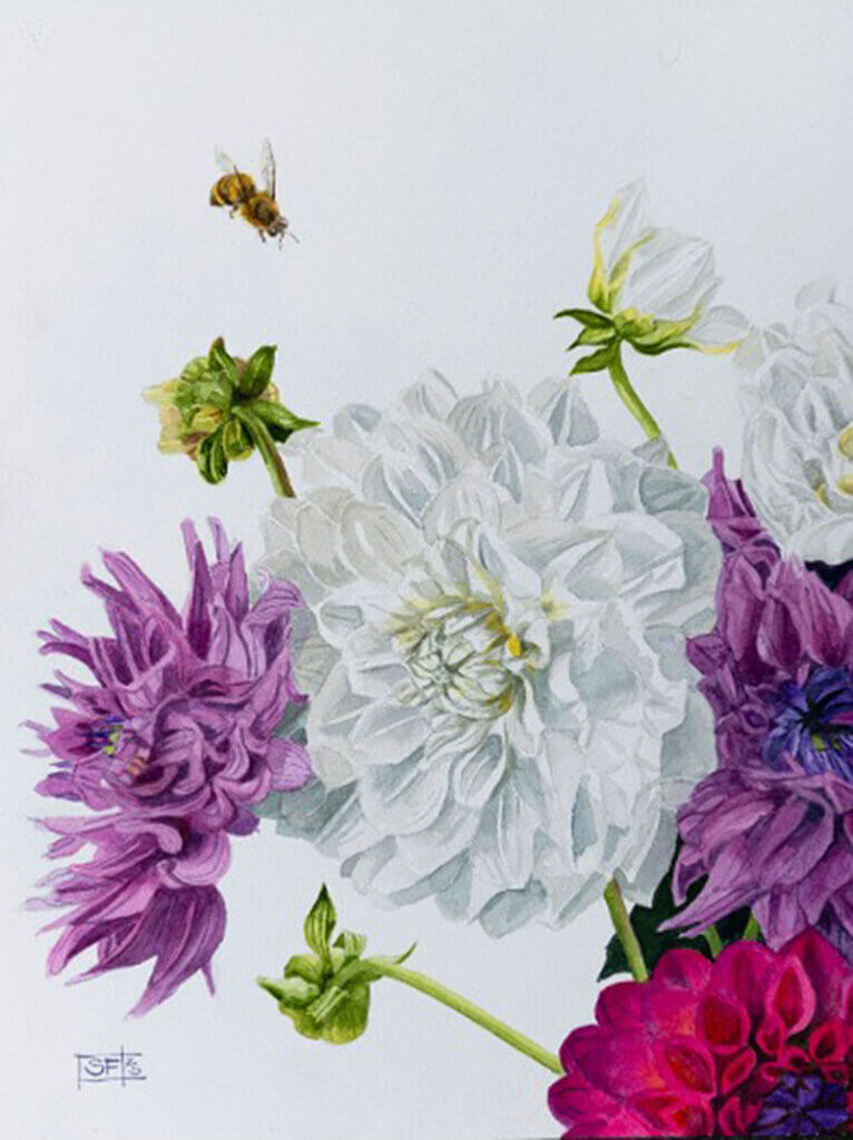 Inspired by the beauty of everyday life, Sally Forrest’s work in watercolours invites you to pause, reflect and reconnect with the extraordinary in the ordinary that surrounds us. With a degree in Design, Sally’s artwork is in collections across Australia and she has been a finalist in The National Emerging Art Prize and the Omnia Art Prize amongst others.