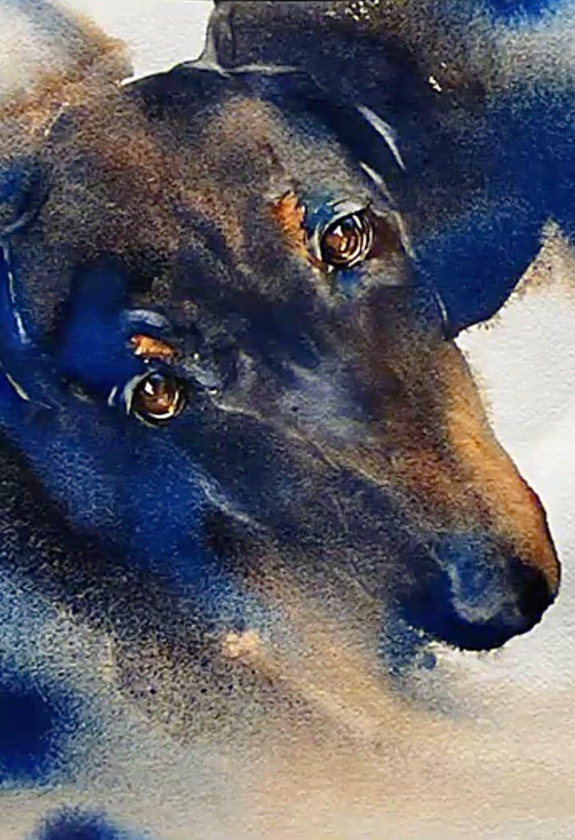 Sabine Ziegler, ARCHES® Resident Artist, presents her favorite work, a very expressive portrait of a dog, created on ARCHES® Aquarelle 300 g/m² paper.