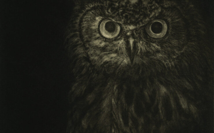 Hadil Salih – Mezzotint engraving