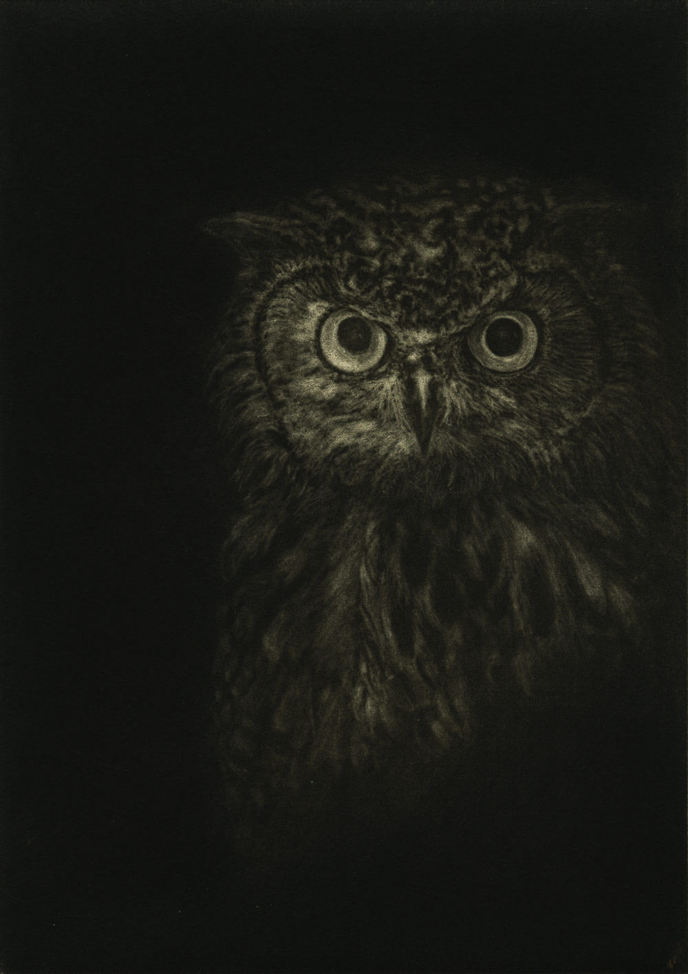 hiboux Hadil Salih – Mezzotint engraving on ARCHES paper